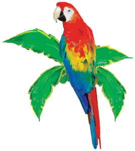 Mango's Tropical Cafe Bird